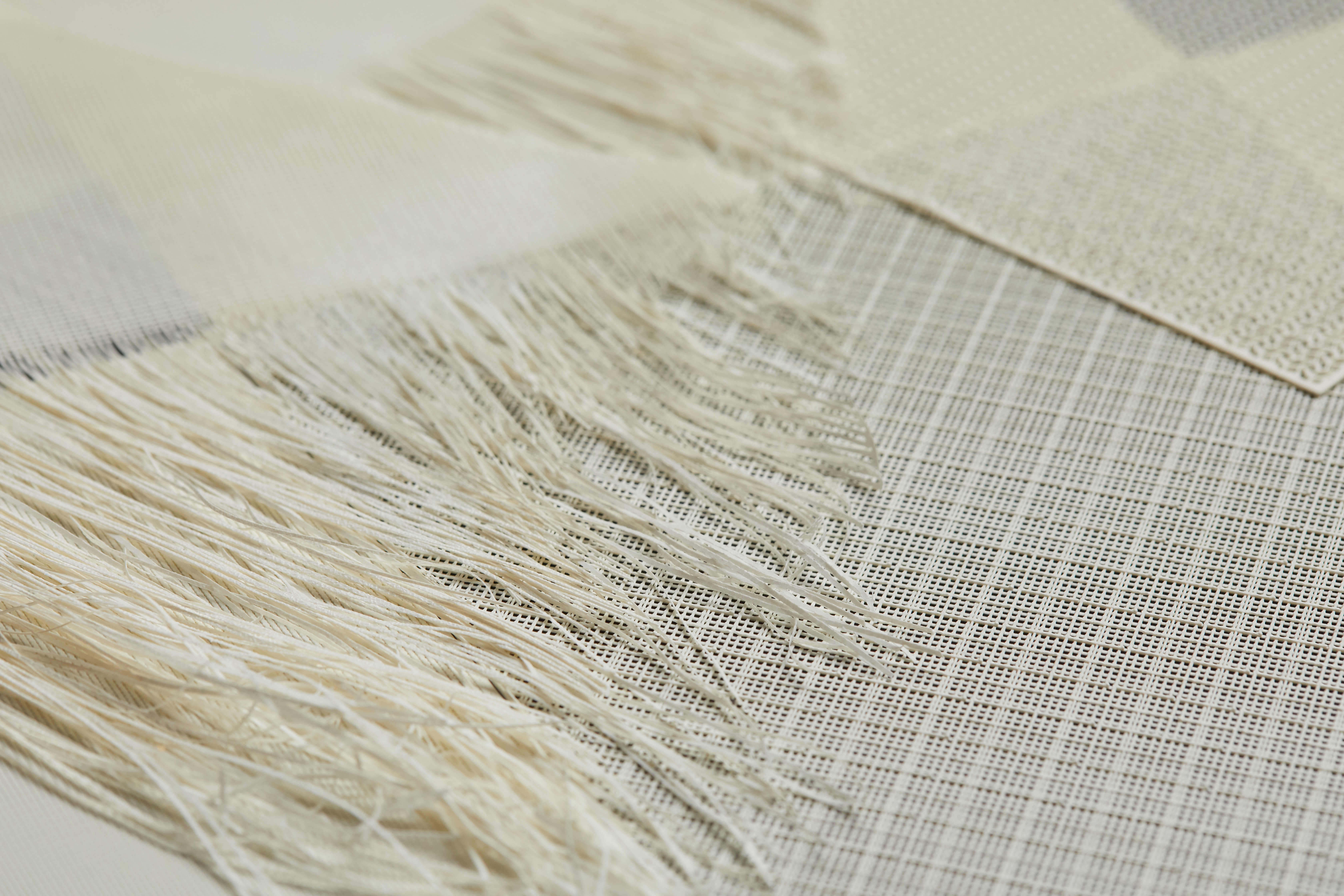 Variloom0063 2 (1).jpg